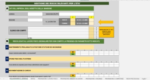 Strumento Excel Per La Valutazione Dei Rischi: Guida Pratica E Funzionalità Essenziali